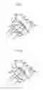 Fig. 21 - Liquid ejection apparatus and moisturizing apparatus for liquid ejection head