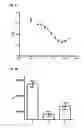 Fig. 12 - Recombinant binding proteins and their use