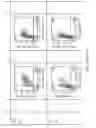 Fig. 33 - April variants