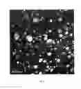 Fig. 03 - Polyamide composite resin composition for fuel filler pipe