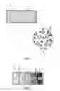 Fig. 02 - Phantom for iron and fat quantification magnetic resonance imaging