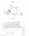 Fig. 02 - Magnetic carrier