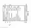 Fig. 09 - Mobile discrete data documentation