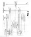 Fig. 04 - Single sign-on for managed mobile devices