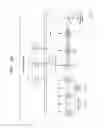 Fig. 04 - Image shooting apparatus for adding information to image