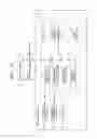 Fig. 13 - Image shooting apparatus for adding information to image