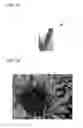 Fig. 08 - Image forming system that restrains increase of print data amount, image forming apparatus, and recording medium