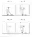 Fig. 09 - Electronic apparatus and method of extracting still images