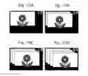 Fig. 10 - Photographing apparatus, photographing controller, photographing control method, and photographing control program