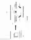 Fig. 56 - Using a depth map of a monitored scene to identify floors, walls, and ceilings
