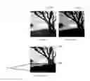 Fig. 01 - Method and device for dynamically controlling quality of a video