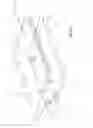 Fig. 07 - Seamless tiled displays