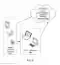 Fig. 10 - METHODS AND DEVICES FOR GRAY POINT ESTIMATION IN DIGITAL IMAGES