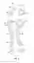 Fig. 04 - Medial rotational traction element arrangement for an article of footwear