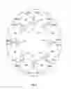 Fig. 03 - Oval shaped diamond cut having hearts and arrows pattern