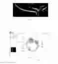 Fig. 10 - User interface for acquisition, display and analysis of ophthalmic diagnostic data