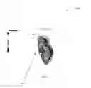Fig. 05 - Method and system for evaluation of functional cardiac electrophysiology