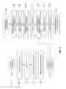 Fig. 09 - Electromagnetic dynamic registration for device navigation