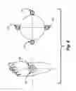 Fig. 09 - Sensory system for improved balance control