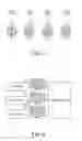 Fig. 08 - ELECTRONIC APPARATUS AND PHYSICAL ACTIVITY ASSISTANCE METHOD