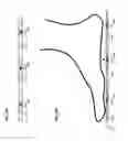 Fig. 09 - Apparatuses, methods, and systems for measuring insole deformation