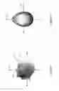 Fig. 07 - System and method of detecting sleep disorders