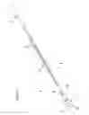 Fig. 02 - Flocked swab and method for collection and transfer of samples of biological material