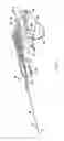 Fig. 09 - Tissue sample flushing system for biopsy device
