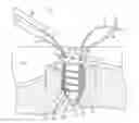 Fig. 01 - Anti-backup suture anchor