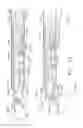 Fig. 30 - Surgical stapling instruments with lockout arrangements for preventing firing system actuation when a cartridge is spent or missing