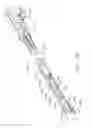 Fig. 28 - Articulatable surgical instruments with composite firing beam structures with center firing support member for articulation support