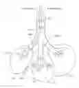Fig. 01 - Collateral flow channel sealant delivery methods and systems