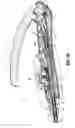 Fig. 09 - Pediatric combination surgical device