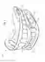 Fig. 02 - Oral devices, kits and methods for reducing sleep apnea, snoring, and/or nasal drainage