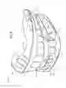 Fig. 07 - Oral devices, kits and methods for reducing sleep apnea, snoring, and/or nasal drainage