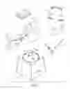 Fig. 02 - TREATMENT PROCESS FOR SKIN IMPERFECTIONS