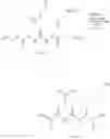 Fig. 18 - Cancer cell targeting using nanoparticles
