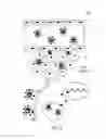 Fig. 07 - Preparation of pH-responsive nanoparticles and promoted delivery of anticancer drugs into deep tumor tissues and application thereof