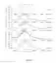 Fig. 22 - Methods and compositions for modulating the immune system with Arginase I