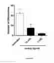 Fig. 33 - Methods and compositions for modulating the immune system with Arginase I