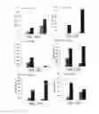 Fig. 16 - CANCER VACCINE COMPOSITION