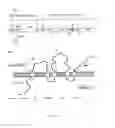 Fig. 06 - Method for the production of recombinant virus, DNA constructs, recombinant virus and vaccine compositions