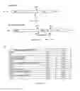 Fig. 13 - Method for the production of recombinant virus, DNA constructs, recombinant virus and vaccine compositions