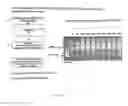 Fig. 23 - Method for the production of recombinant virus, DNA constructs, recombinant virus and vaccine compositions