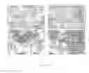 Fig. 25 - Method for the production of recombinant virus, DNA constructs, recombinant virus and vaccine compositions