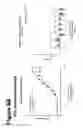 Fig. 09 - VIRAL PEPTIDES