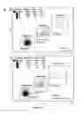 Fig. 24 - Nanoparticle Composition for Use in Targeting Cancer Stem Cells and Method for Treatment of Cancer