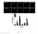 Fig. 25 - Nanoparticle Composition for Use in Targeting Cancer Stem Cells and Method for Treatment of Cancer