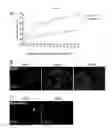 Fig. 03 - METHODS AND SYSTEMS FOR TREATING TUMORS
