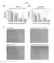 Fig. 04 - METHODS AND SYSTEMS FOR TREATING TUMORS